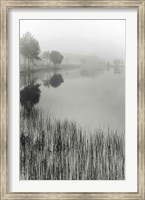 Lakeside Mist Fine Art Print