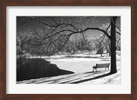 Heritage Pond In Winter Fine Art Print