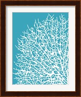 Aqua Coral I Fine Art Print