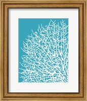 Aqua Coral I Fine Art Print