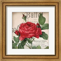 Scent of a Rose I Fine Art Print