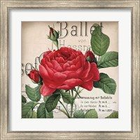 Scent of a Rose I Fine Art Print