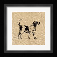 Beagle Fine Art Print