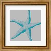 Sea Stars II Fine Art Print