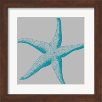 Sea Stars II Fine Art Print