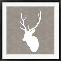 Buck I Fine Art Print