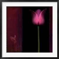 Red Tulip I Fine Art Print