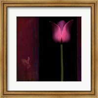 Red Tulip I Fine Art Print