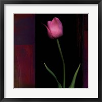 Red Tulip II Fine Art Print