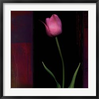 Red Tulip II Fine Art Print