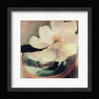 Nature's Blossoms III Fine Art Print