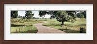 Path to a Perfect Place Fine Art Print