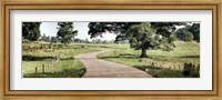 Path to a Perfect Place Fine Art Print