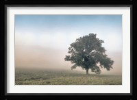 Paradise Haze Fine Art Print