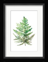 Wild Greens I Fine Art Print