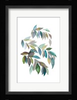 Leaf Collection I Fine Art Print