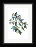 Leaf Collection II Fine Art Print
