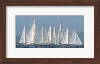 Sailing Team Fine Art Print