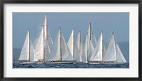 Sailing Team Fine Art Print