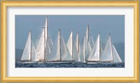 Sailing Team Fine Art Print