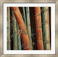 Caribbean Bamboo II Fine Art Print