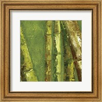 Bamboo Columbia I Fine Art Print
