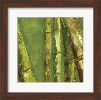 Bamboo Columbia I Fine Art Print