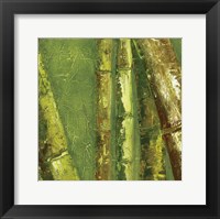 Bamboo Columbia I Fine Art Print