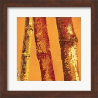 Bamboo Columbia II Fine Art Print