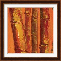Bamboo Columbia III Fine Art Print