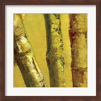 Bamboo Columbia IV Fine Art Print