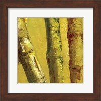 Bamboo Columbia IV Fine Art Print