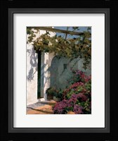 Bougainvillea and Vine Fine Art Print