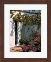 Bougainvillea and Vine Fine Art Print