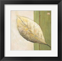 Leaf Impression - Olive Framed Print
