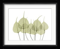 Woodlands I Framed Print