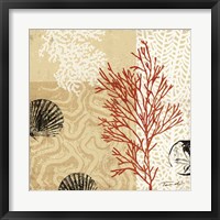 Coral Impressions II Fine Art Print