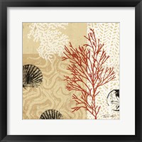 Coral Impressions II Framed Print