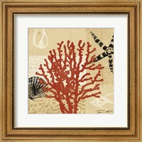 Coral Impressions III Fine Art Print
