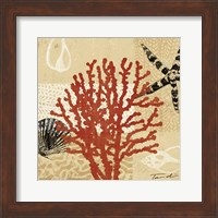 Coral Impressions III Fine Art Print