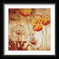 Poppy Heat I Framed Print