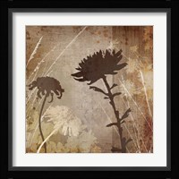 Floral B Framed Print