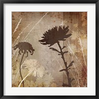 Floral B Framed Print