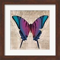 Butterflies IV Fine Art Print