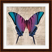 Butterflies IV Fine Art Print
