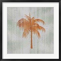 Palm Tree II Framed Print