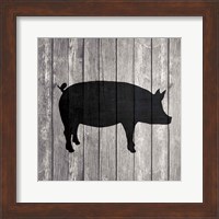 Barn Pig Fine Art Print