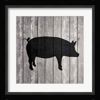 Barn Pig Framed Print