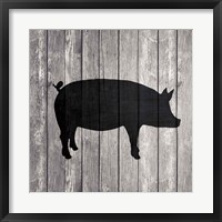 Barn Pig Framed Print