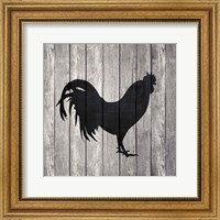 Barn Rooster Fine Art Print